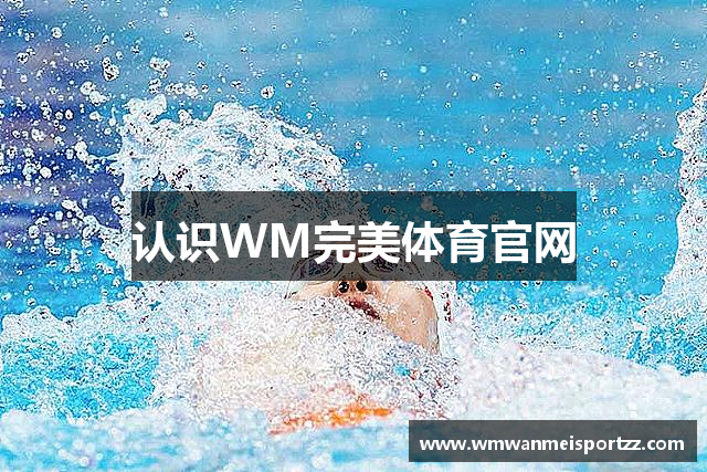 认识WM完美体育官网